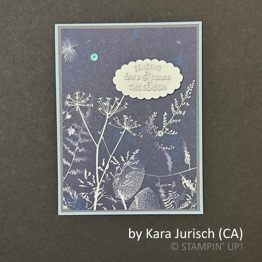 by Kara Jurisch, 2022 Holiday One-for-One Swap hosted by Brian King, Stampin Up! by Kara Jurisch, 2022 Holiday One-for-One Swap hosted by Brian King, Stampin Up!