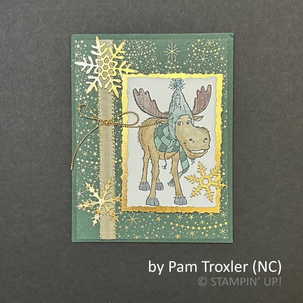 by Pam Troxler, 2022 Holiday One-for-One Swap hosted by Brian King, Stampin Up! by Pam Troxler, 2022 Holiday One-for-One Swap hosted by Brian King, Stampin Up!