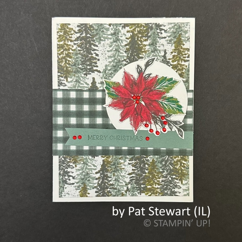 by Pat Stewart, 2022 Holiday One-for-One Swap hosted by Brian King, Stampin Up! by Pat Stewart, 2022 Holiday One-for-One Swap hosted by Brian King, Stampin Up!