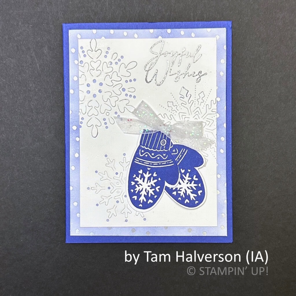 by Tam Halverson, 2022 Holiday One-for-One Swap hosted by Brian King, Stampin Up! by Tam Halverson, 2022 Holiday One-for-One Swap hosted by Brian King, Stampin Up!