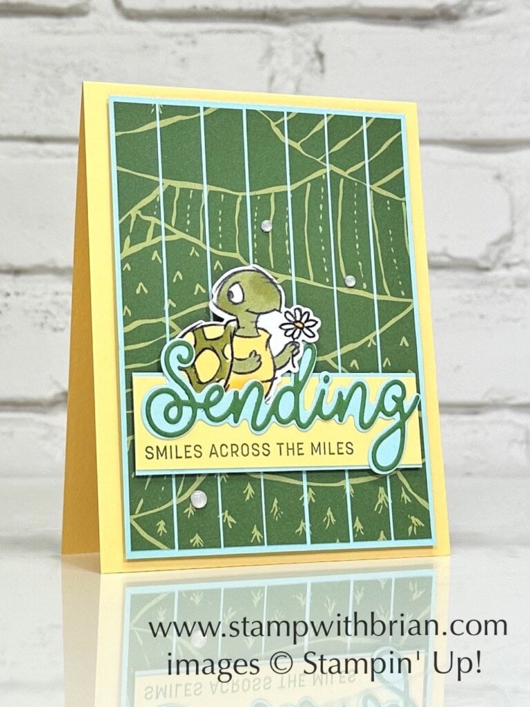 Sending Smiles Bundle, On the Farm Specialty Designer Series Paper, Rain or Shine Specialty Designer Series Paper, Stampin Up!, Brian King