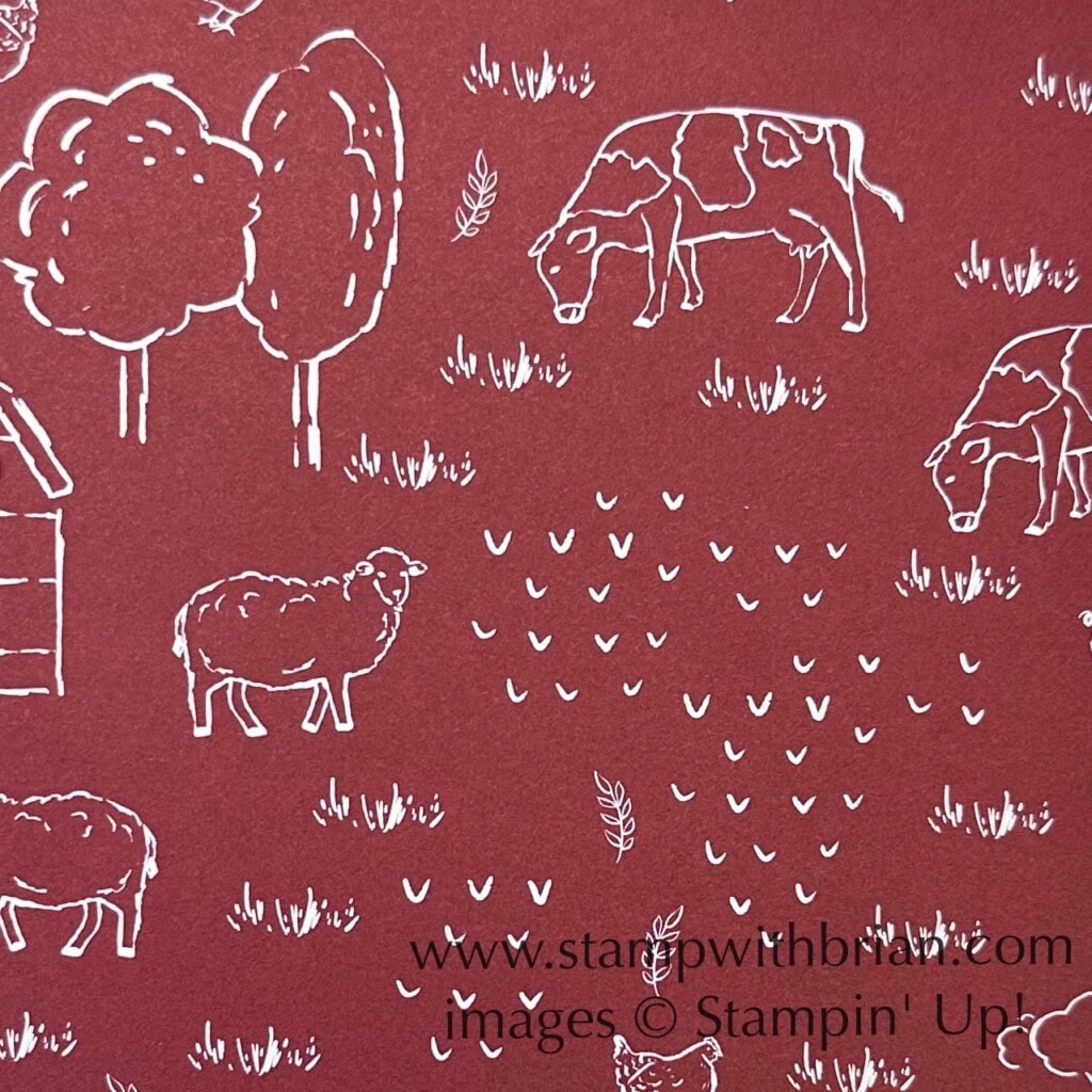 Day at the Farm Designer Series Paper, Stampin Up!, Brian King