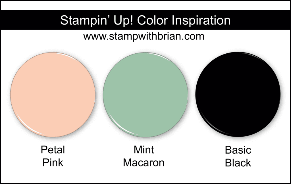 Stampin Up! Color Inspiration - Petal Pink, Mint Macaron, Basic Black Stampin Up! Color Inspiration - Petal Pink, Mint Macaron, Basic Black