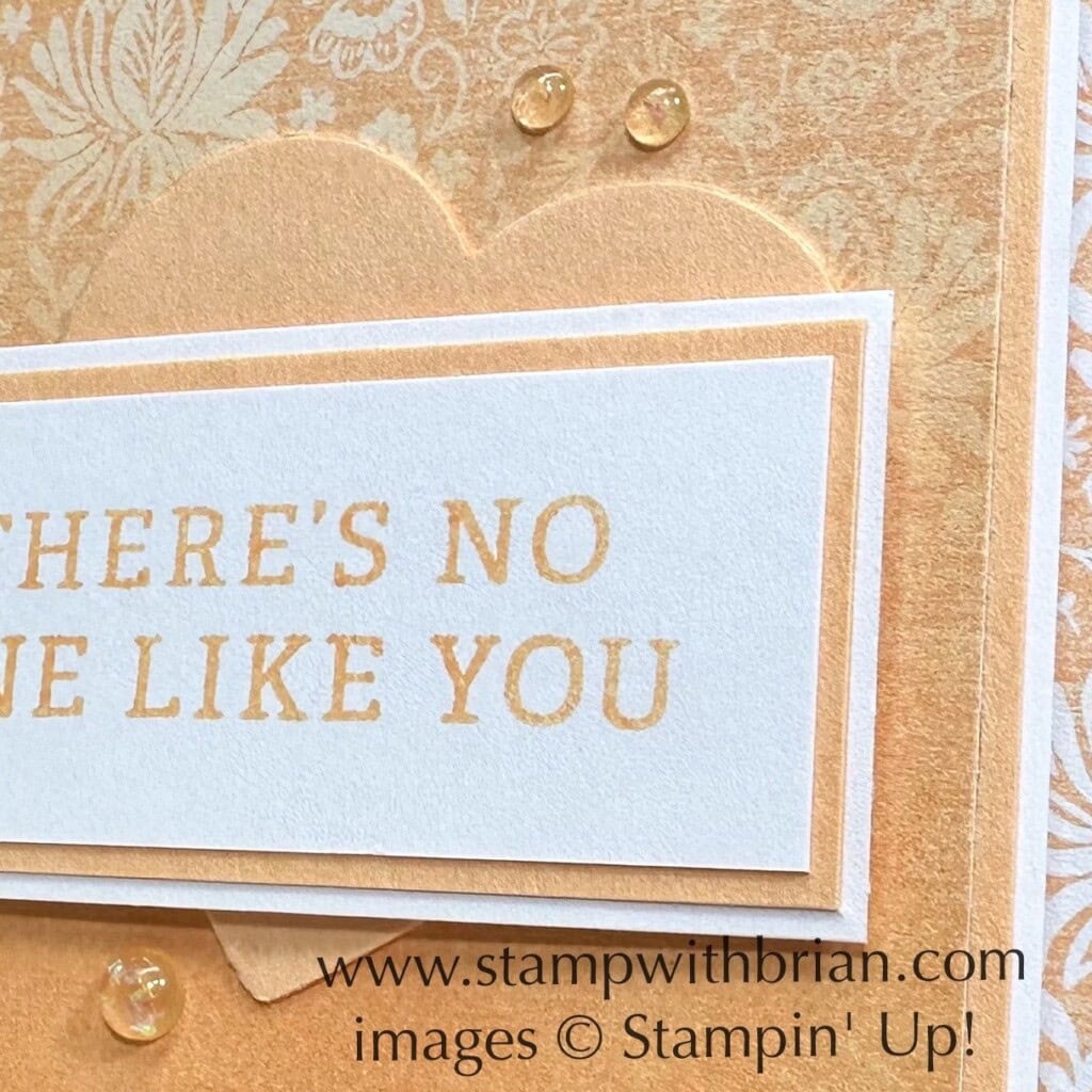 Happy Labels, Pale Papaya, Stampin Up!, Brian King Happy Labels, Pale Papaya, Stampin Up!, Brian King