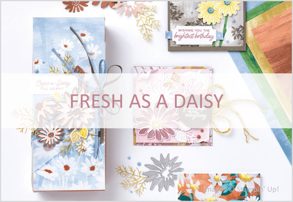 Fresh as a Daisy Suite, Stampin Up!, Brian King