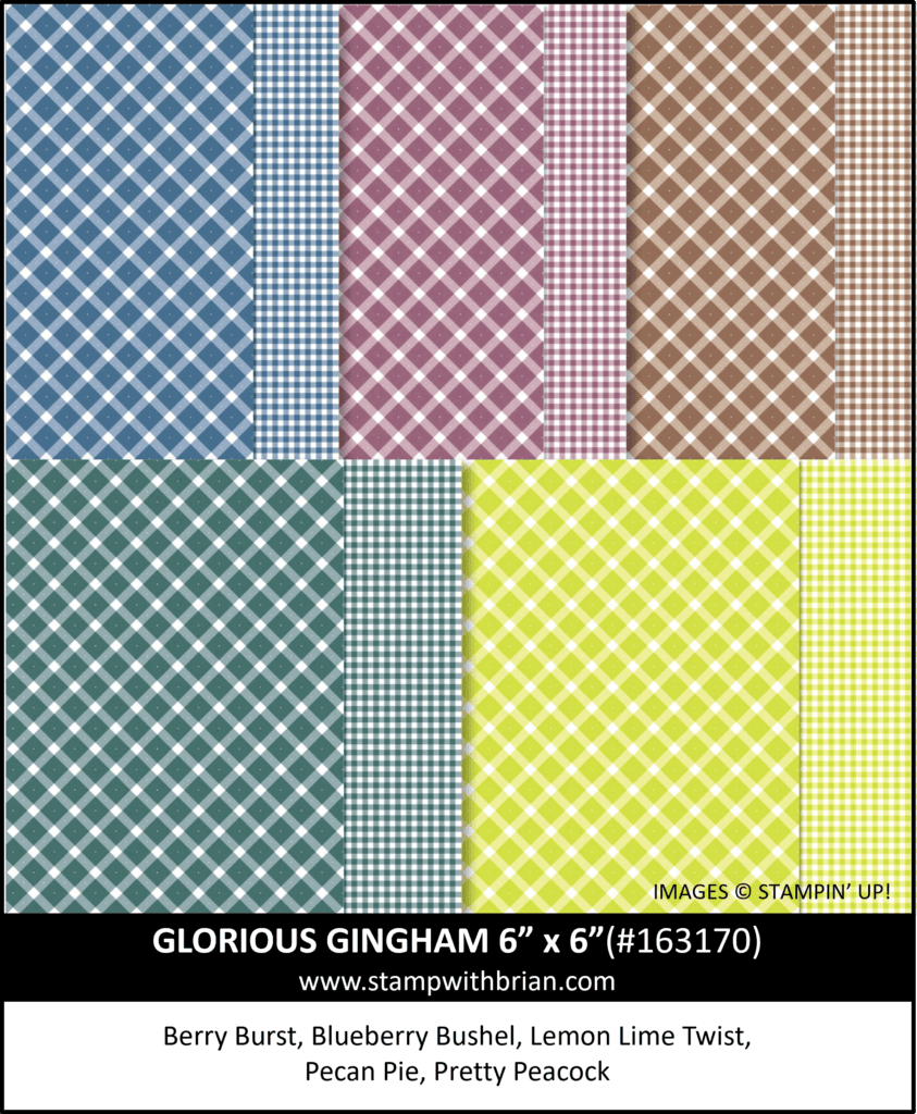Glorious Gingham Designer Series Paper, Stampin Up! 163170