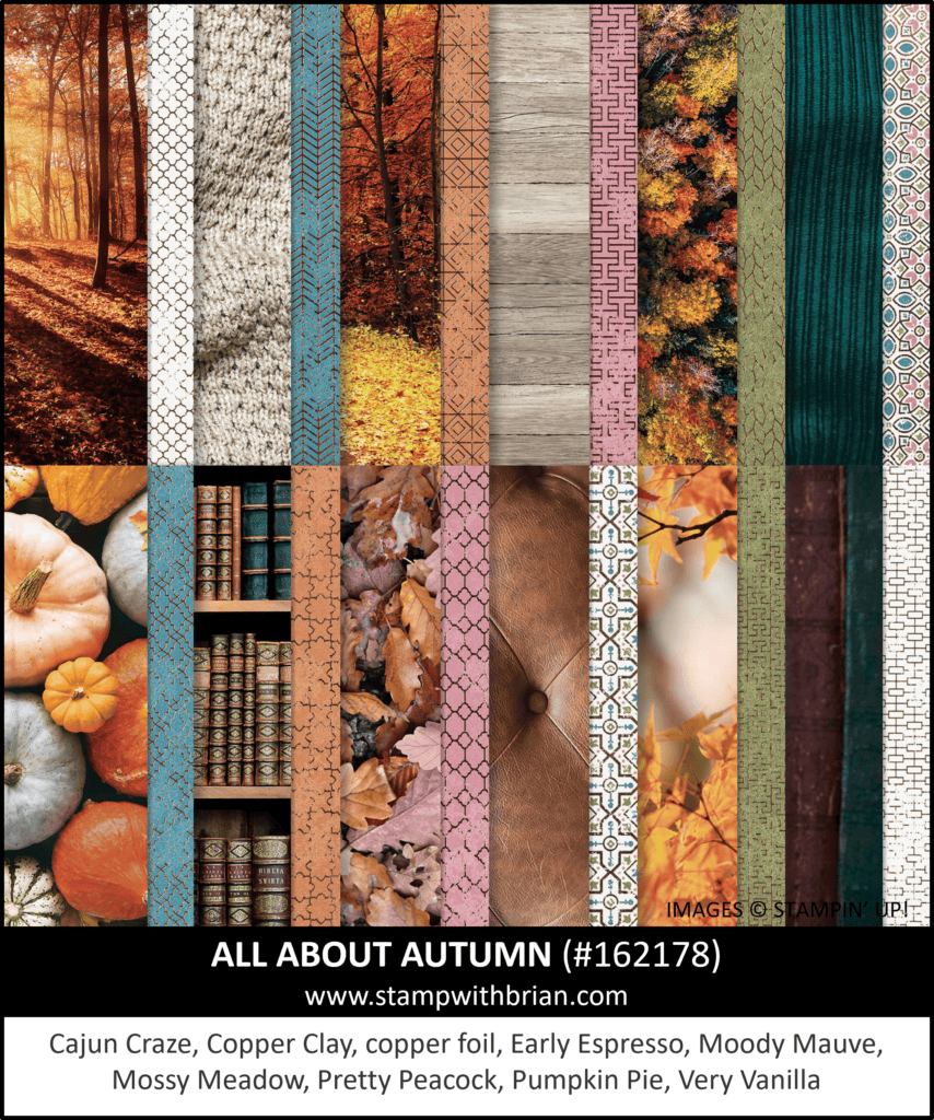 All About Autumn Specialty Designer Series Paper, Stampin Up! 162178