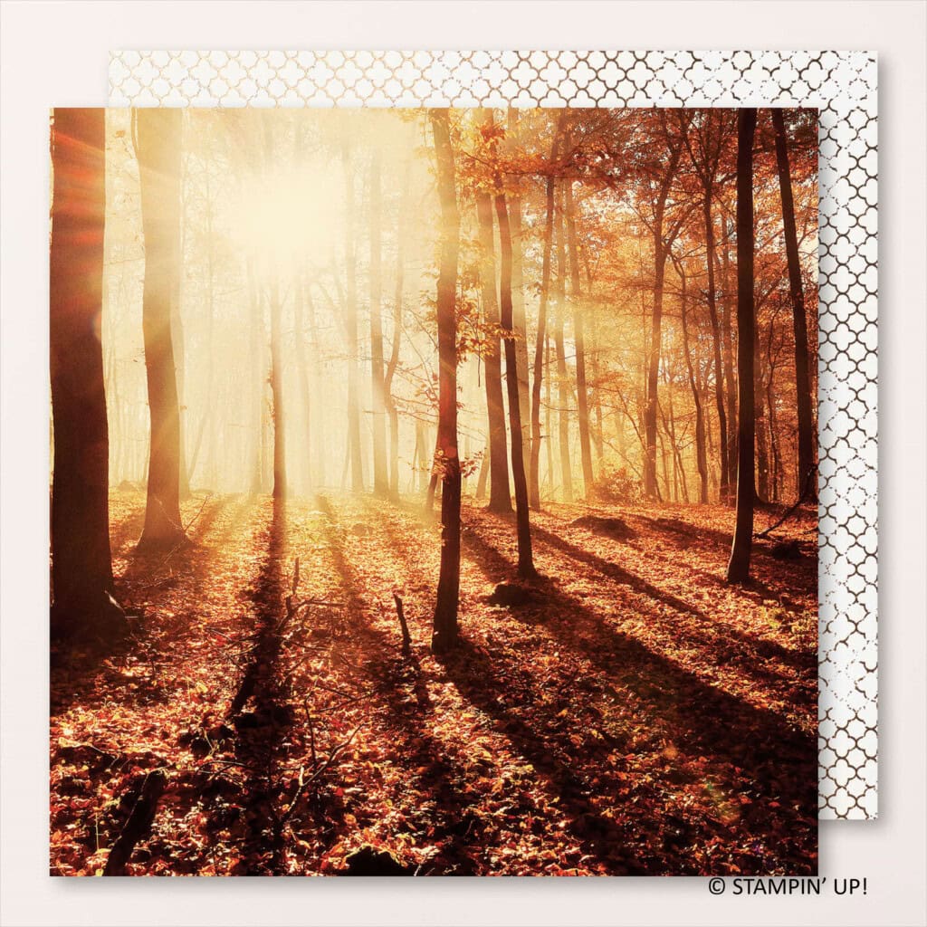 All About Autumn Specialty Designer Series Paper, one page, Stampin Up! 162178 All About Autumn Specialty Designer Series Paper, one page, Stampin Up! 162178