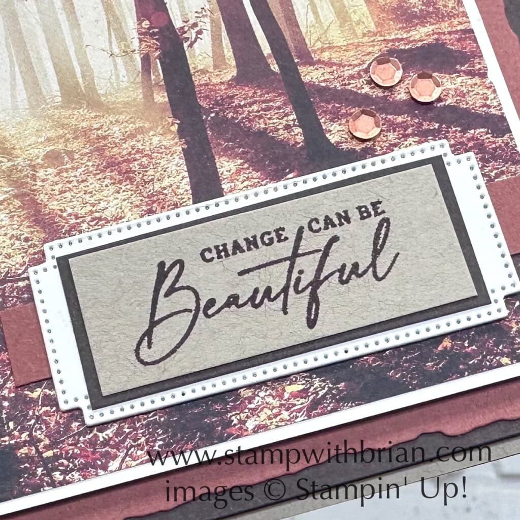 Autumn Leaves Bundle, All About Autumn Designer Series Paper, Stampin Up!, Brian King Autumn Leaves Bundle, All About Autumn Designer Series Paper, Stampin Up!, Brian King