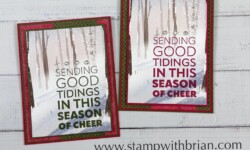 Joy to You, One Horse Open Sleigh Designer Series Paper, Stampin Up!, Brian King, Christmas card