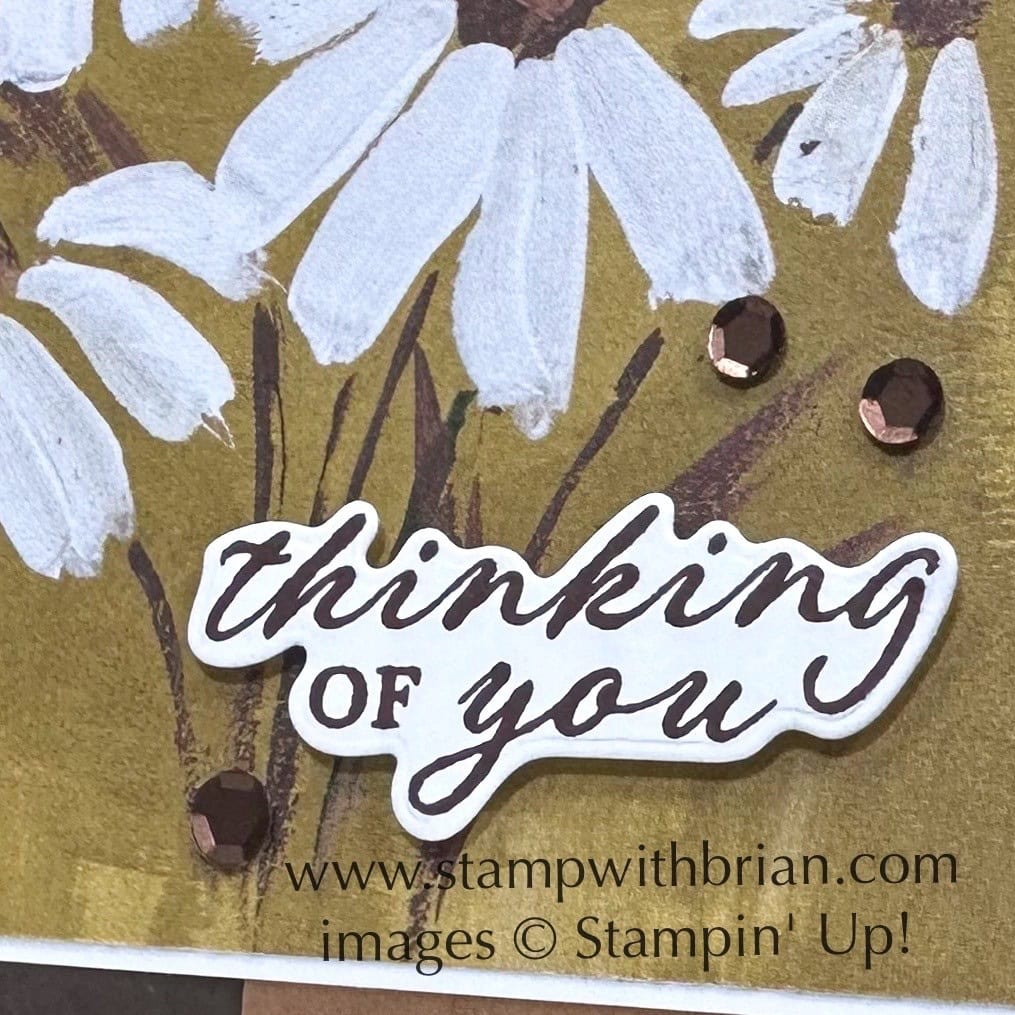 Wonderful Thoughts Bundle, Fresh as a Daisy Designer Series Paper, Stampin Up!, Brian King Wonderful Thoughts Bundle, Fresh as a Daisy Designer Series Paper, Stampin Up!, Brian King