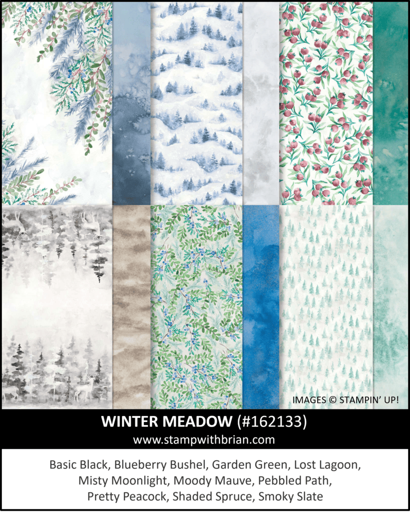 Winter Meadow Designer Series Paper, Stampin Up! 162133