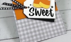 Sweetest Cherries, Tricks & Treats Dies, Stampin Up!, Brian King, Halloween treat bag