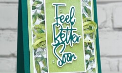 Wanted to Say Dies, Joy of Christmas Designer Series Paper, Stampin Up!, Brian King, get well soon card