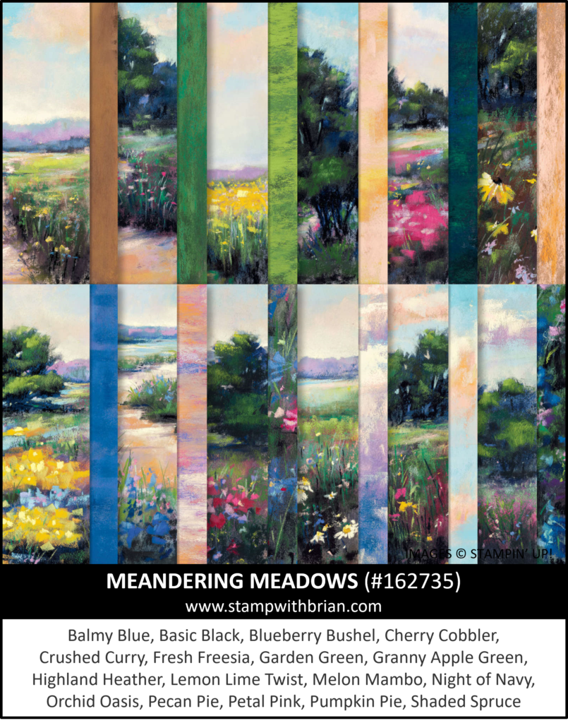 Meandering Meadows Designer Series Paper, Stampin Up! 162735