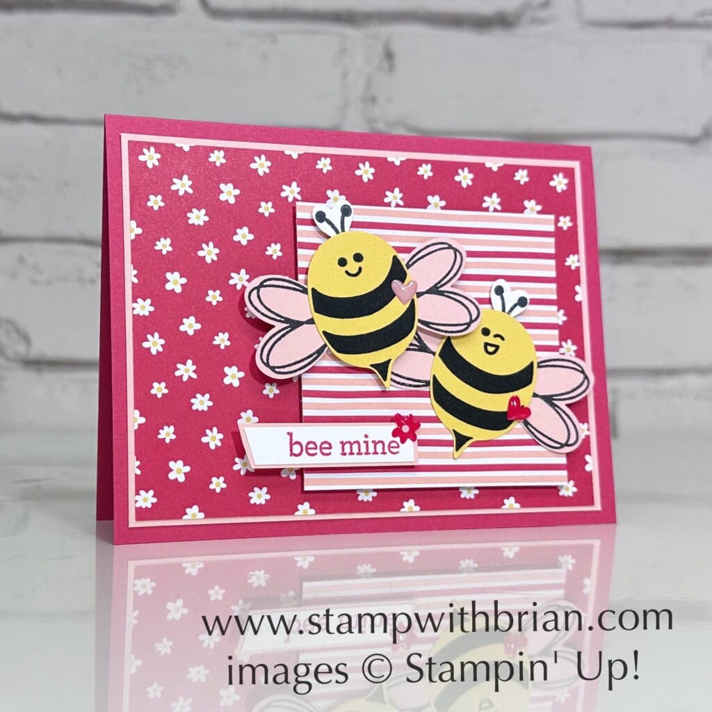 Bee My Valentine Bundle, Stampin Up!, Brian King, Cute Valentine