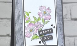 Detailed Dogwood, Heartfelt Hellos, Stampin Up!, Brian King