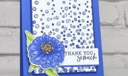 Simply Zinnia Bundle, Drizzling Droplets, Stampin Up!, Brian King