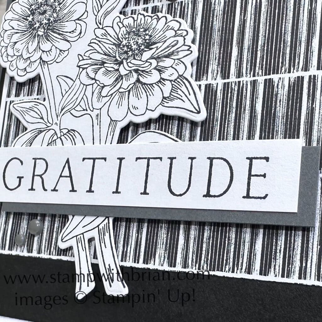 Simply Zinnia Bundle, Stampin Up!, Brian King Simply Zinnia Bundle, Stampin Up!, Brian King