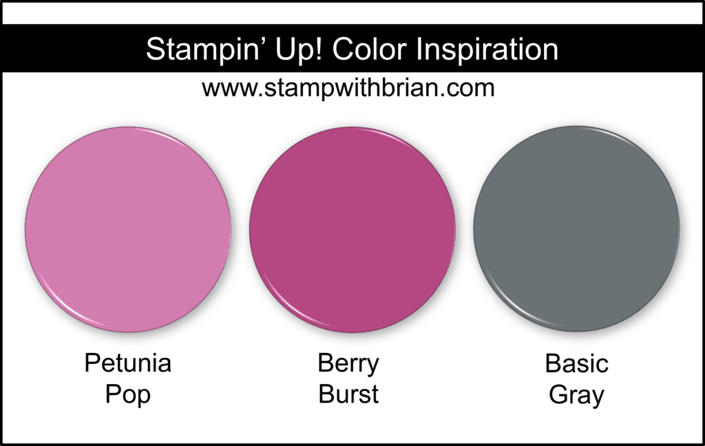 Stampin Up! Color Inspiration - Petunia Pop, Berry Burst, Basic Gray Stampin Up! Color Inspiration - Petunia Pop, Berry Burst, Basic Gray