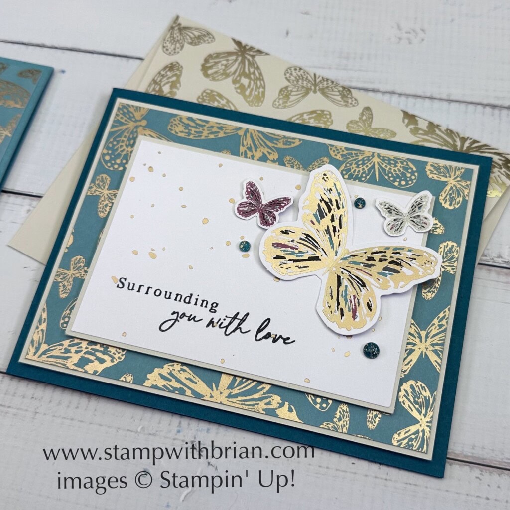 Alternative Projects from April 2024 Delicate Wings Paper Pumpkin Kit, Stampin Up!, Brian King Alternative Projects from April 2024 Delicate Wings Paper Pumpkin Kit, Stampin Up!, Brian King