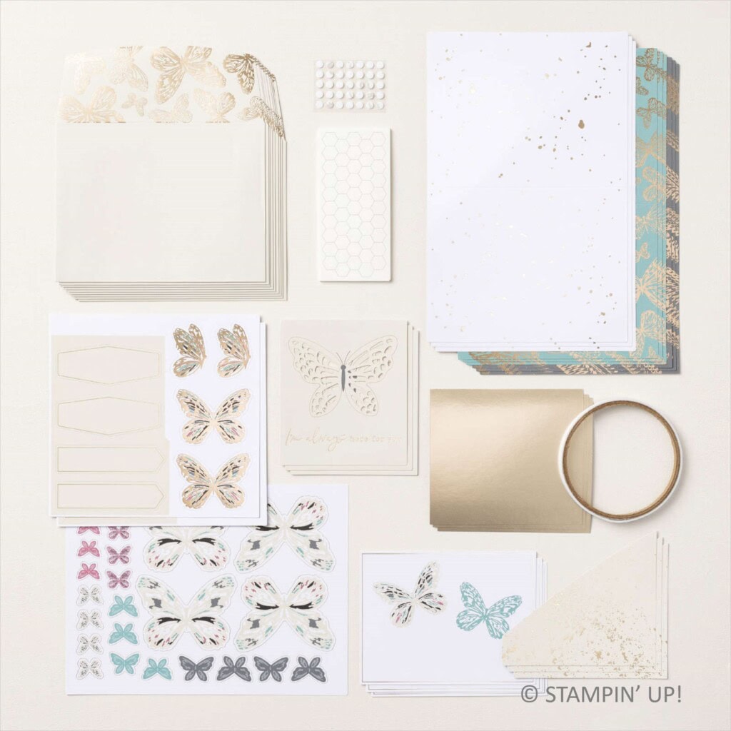 Paper Pumpkin Alternatives – Delicate Wings – STAMP WITH BRIAN