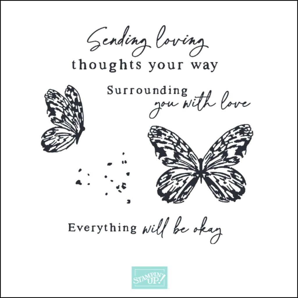 Delicate Wings Paper Pumpkin Kit stamp set, April 2024, Stampin Up! Delicate Wings Paper Pumpkin Kit stamp set, April 2024, Stampin Up!