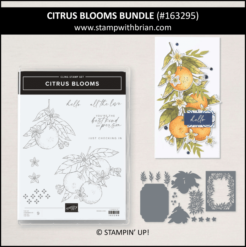 Citrus Blooms Bundle, Stampin Up! 163295