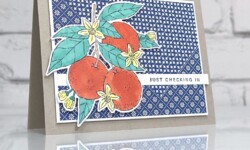 Citrus Blooms Bundle, Stampin Up!, Brian King