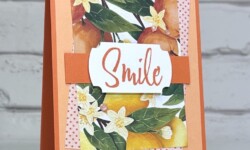 Love this Moment, Mediterranean Blooms Designer Series Paper, Stampin Up!, Brian King, smile