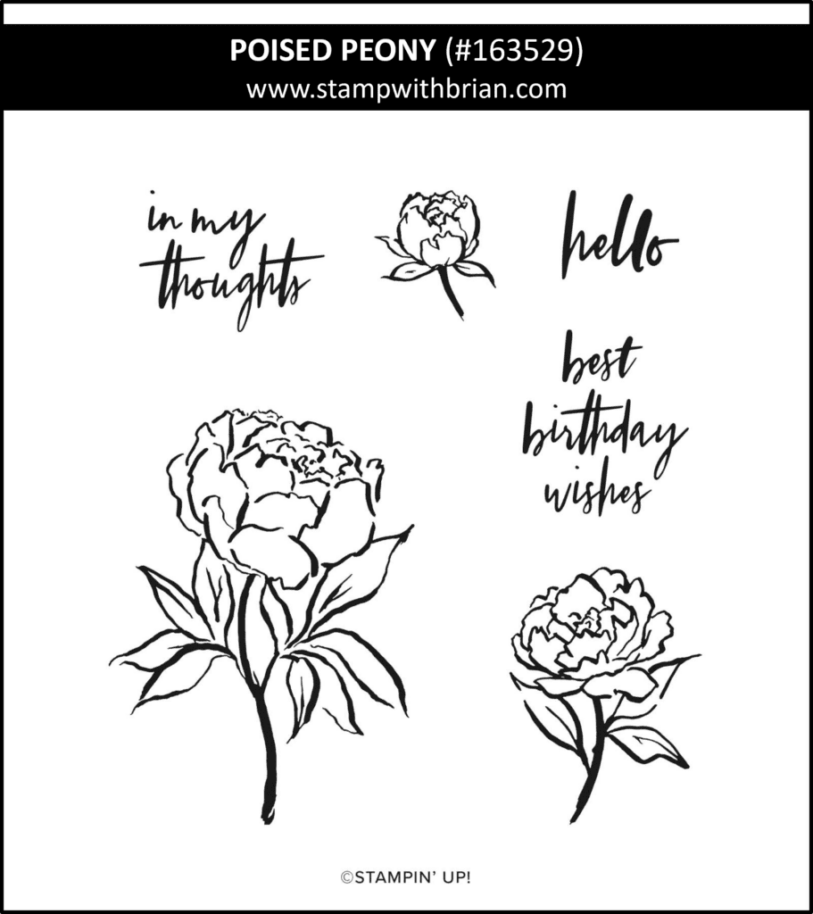 Poised Peony, Stampin UP! 163529