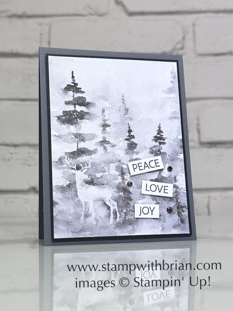 Iconic Imagery, Winter Meadow Designer Series Paper, Stampin Up!, Brian King