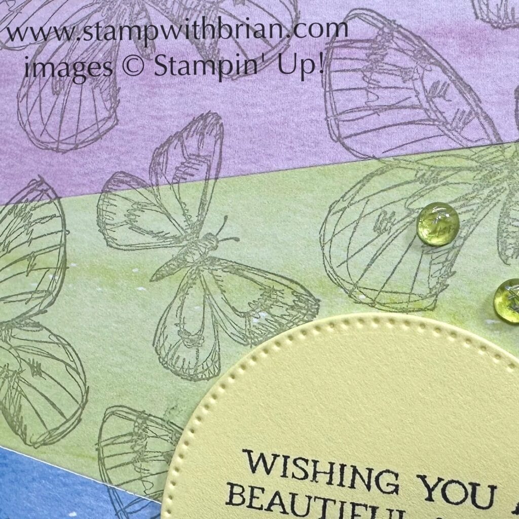 https://www.stampinup.com/products/sketched-butterflies-bundle-english Sketched Butterflies, Bright & Beautiful Designer Series Paper, Stampin Up!, Brian King