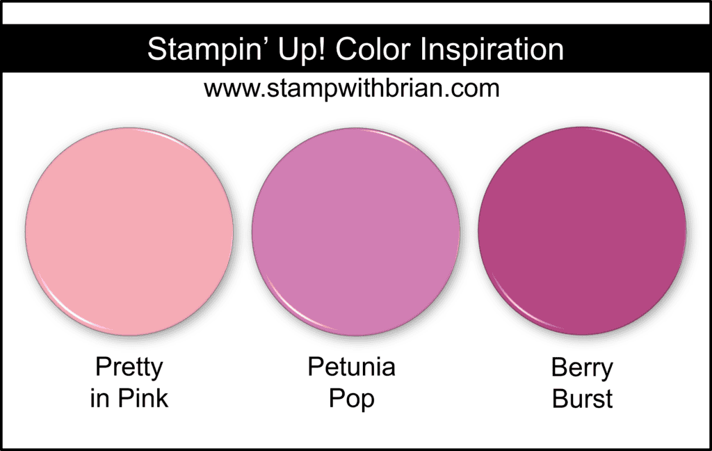 Stampin Up! Color Inspiration - Pretty in Pink, Petunia Pop, Berry Burst Stampin Up! Color Inspiration - Pretty in Pink, Petunia Pop, Berry Burst