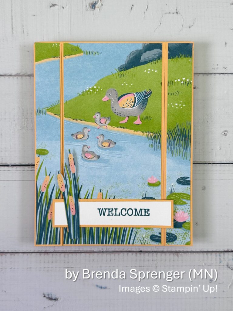 by Brenda Sprenger, Summer One-for-One Card Swap, Stampin Up, 1 of 3 by Brenda Sprenger, Summer One-for-One Card Swap, Stampin Up, 1 of 3