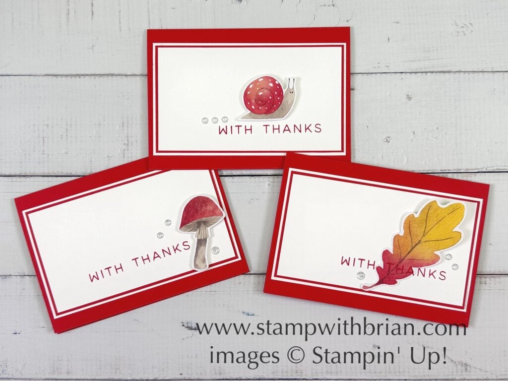 Paper Pumpkin Alternatives, Autumn Abundance Kit, September 2024, Stampin Up!, Brian King Paper Pumpkin Alternatives, Autumn Abundance Kit, September 2024, Stampin Up!, Brian King