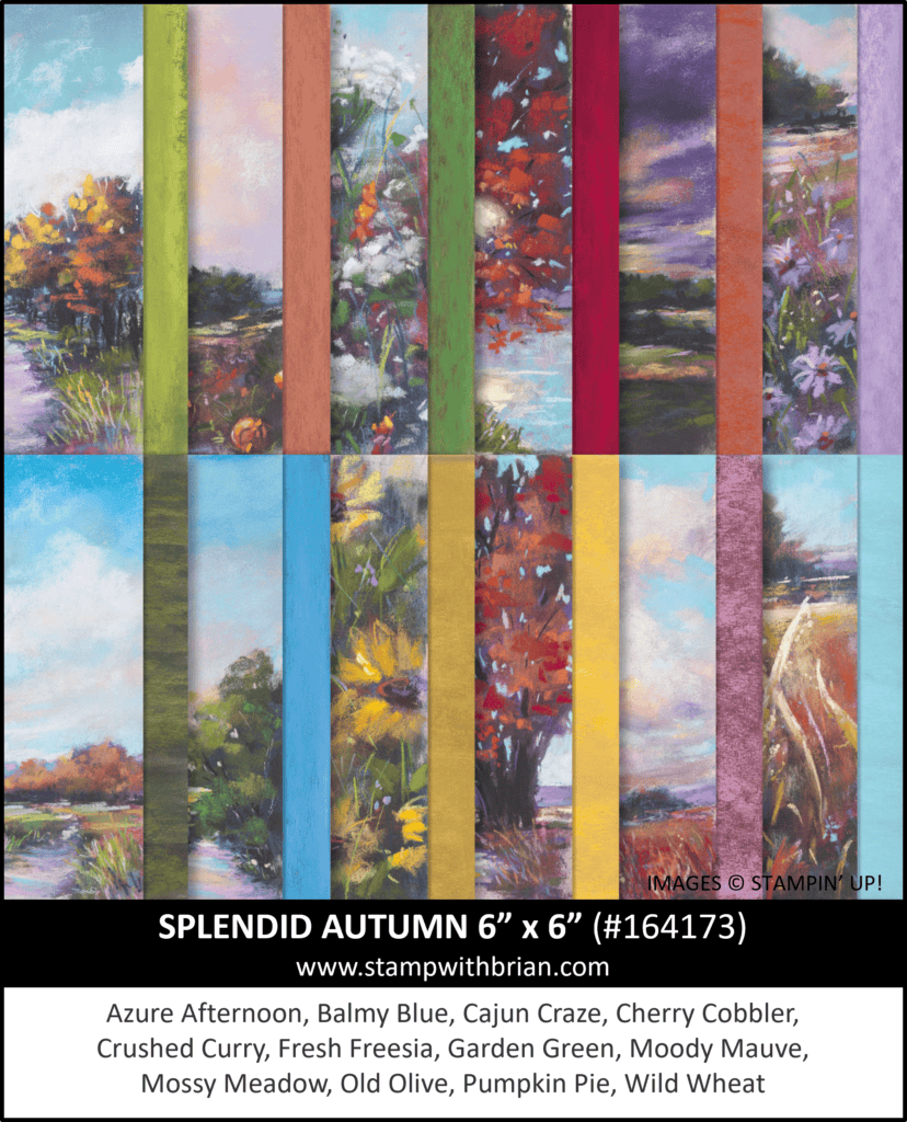 Splendid Autumn Designer Series Paper, Stampin Up! 164173