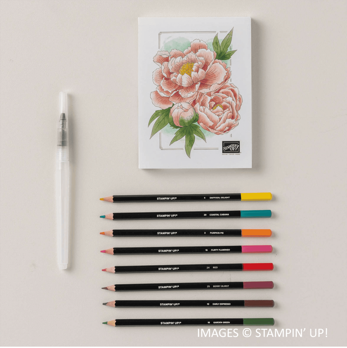 Nature's Paintings Kit, Stampin Up! 164982 Nature's Paintings Kit, Stampin Up! 164982