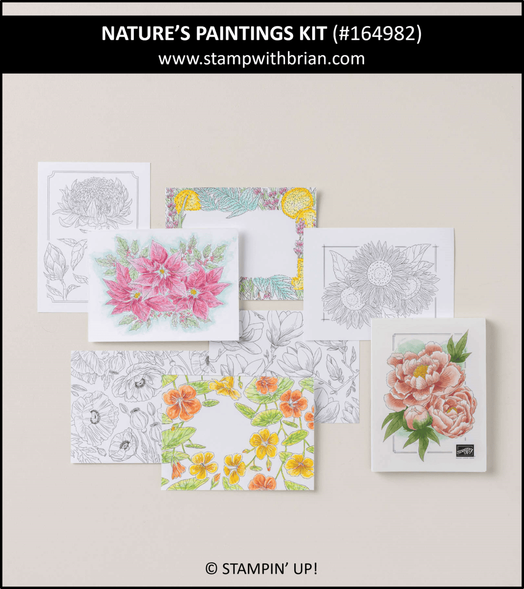 Nature's Paintings Kit, Stampin Up! 164982