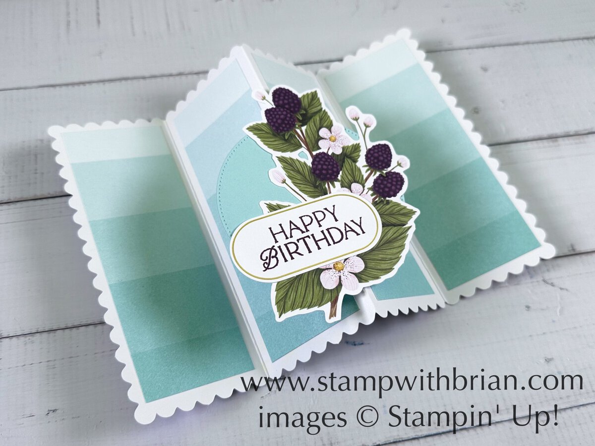 December 2024 Paper Pumpkin Alternative Projects, Stampin' Up!, Brian King December 2024 Paper Pumpkin Alternative Projects, Stampin' Up!, Brian King