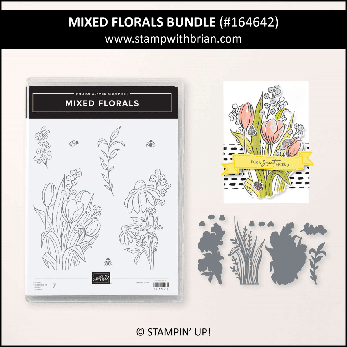 You're Pretty Wonderful – STAMP WITH BRIAN