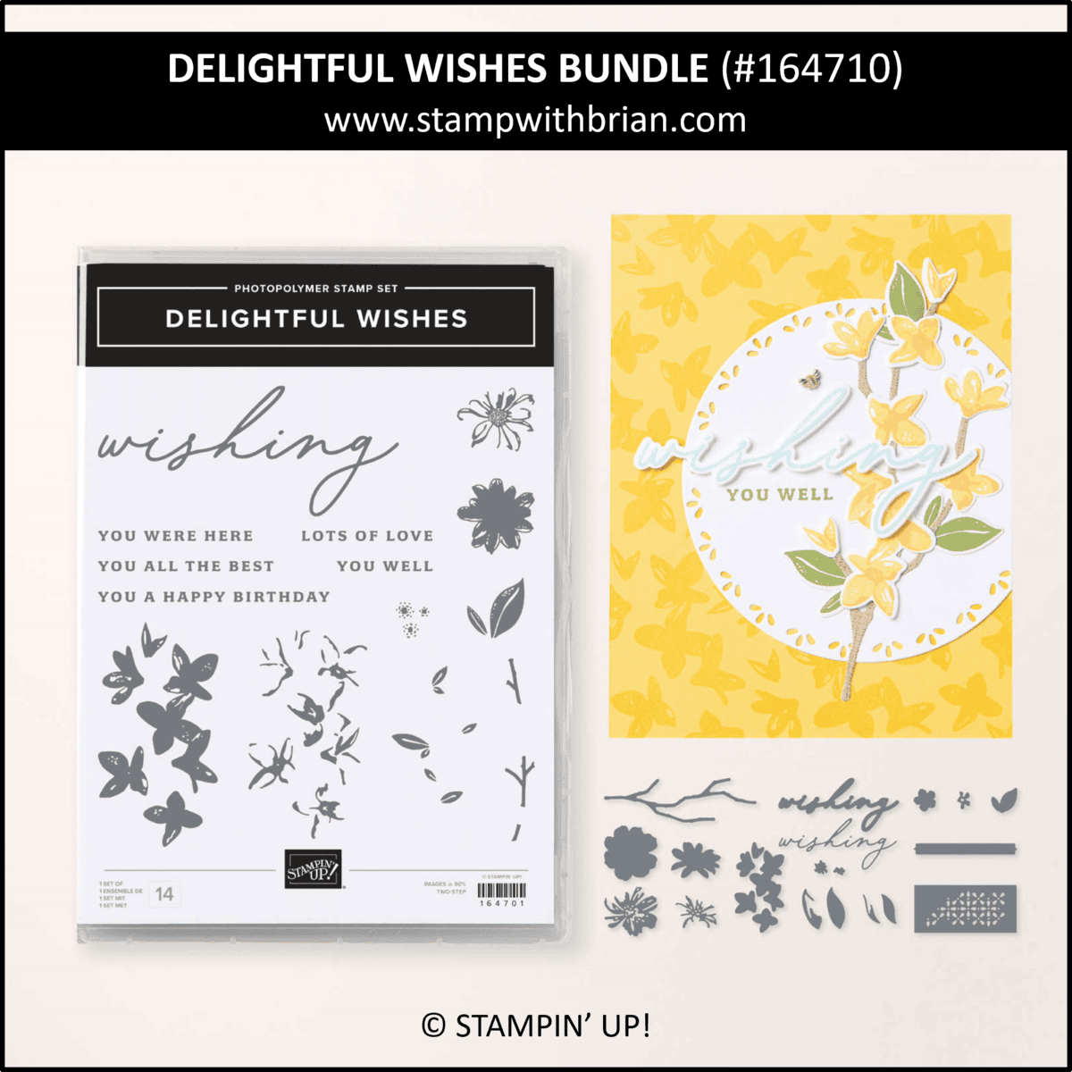 Delightful Wishes Bundle, Stampin' Up! 164710