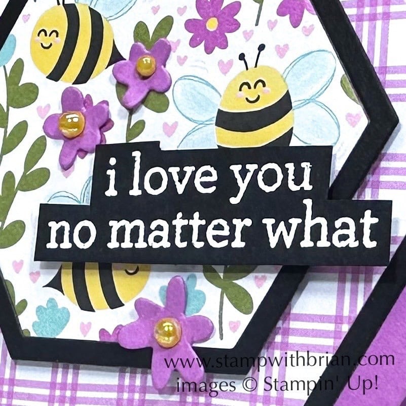 Meant to Bee Bundle, Bee My Valentine, Stampin' Up!, Brian King Meant to Bee Bundle, Bee My Valentine, Stampin' Up!, Brian King