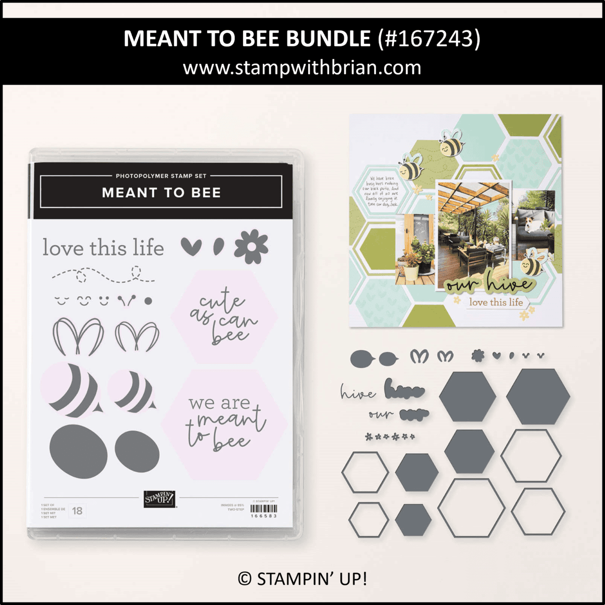 Meant to Bee Bundle, Stampin Up!, 167243