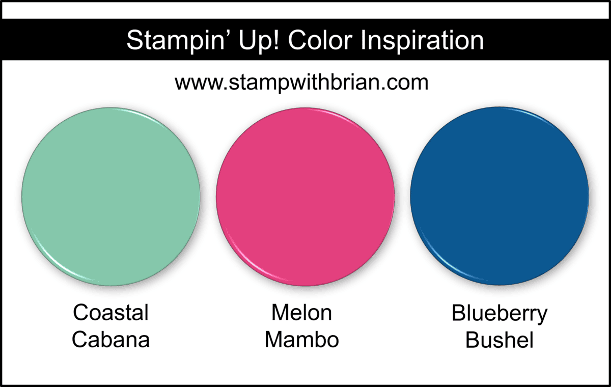 New Designer Series Papers from Stampin' Up!'s 2025 Scrapbooking