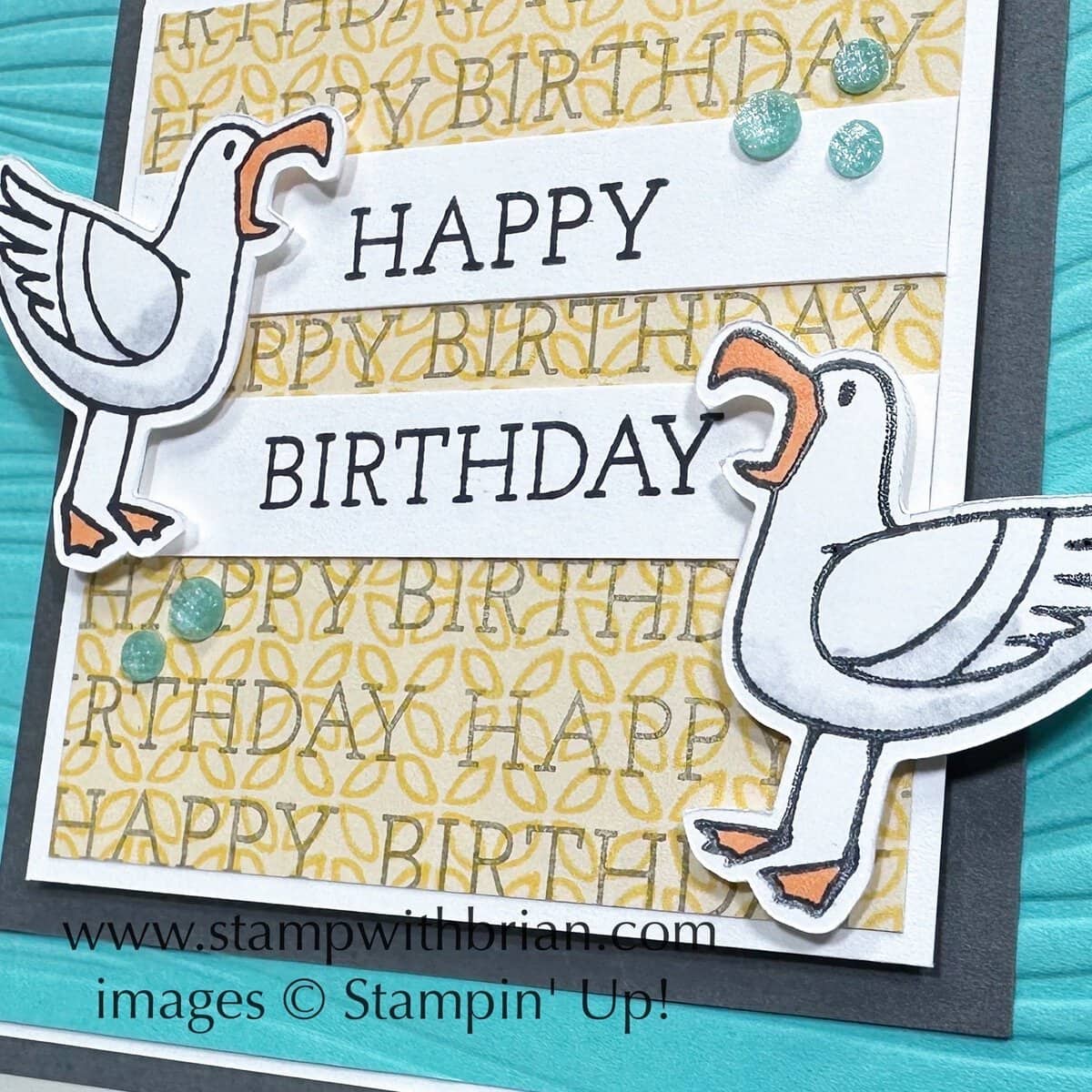 Friendly Seagulls, Birthday Celebration, Soft Waves 3D Embossing Folder, Stampin' Up!, Brian King Friendly Seagulls, Birthday Celebration, Soft Waves 3D Embossing Folder, Stampin' Up!, Brian King