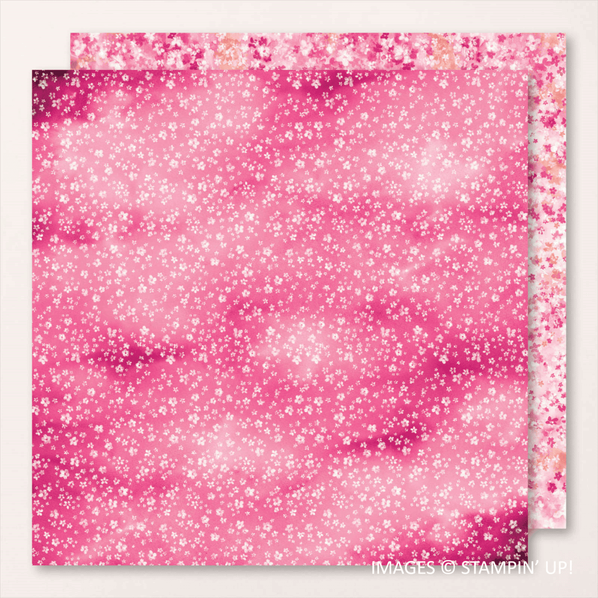 design from Bloom Impressions Designer Series Paper, Stampin' Up!, Brian King