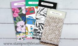 March 2025 Online Exclusives Designer Series Paper Swatch Books, Stampin' Up!, Brian King
