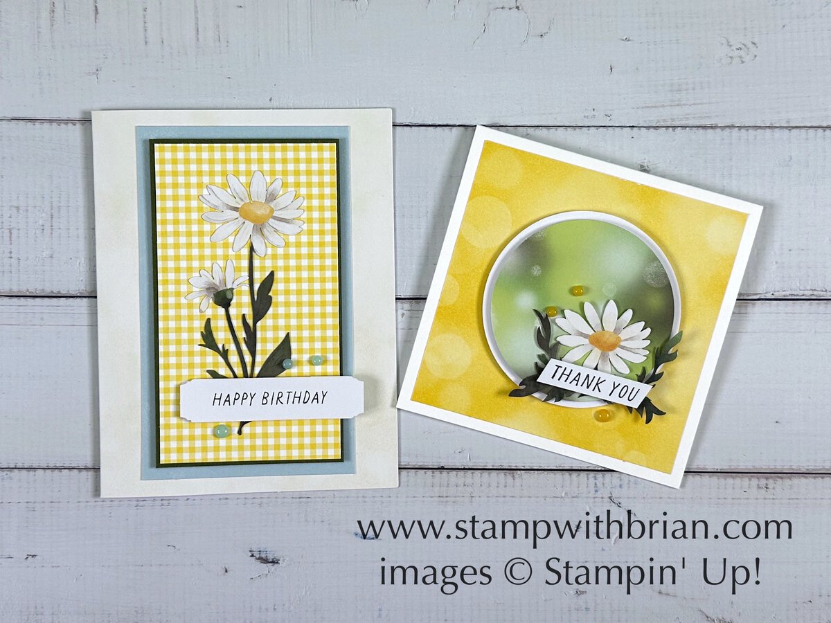 March 2025 Paper Pumpkin Alternatives, Daisy Daydream, Stampin' Up!, Brian King March 2025 Paper Pumpkin Alternatives, Daisy Daydream, Stampin' Up!, Brian King