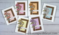 Gallery Blooms Bundle thank you cards in a variety of colors, Stampin' Up!, Brian King